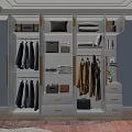 Organized Wardrobe With Hanging Clothes Folded Clothes Storage Boxes Bags And Drawers