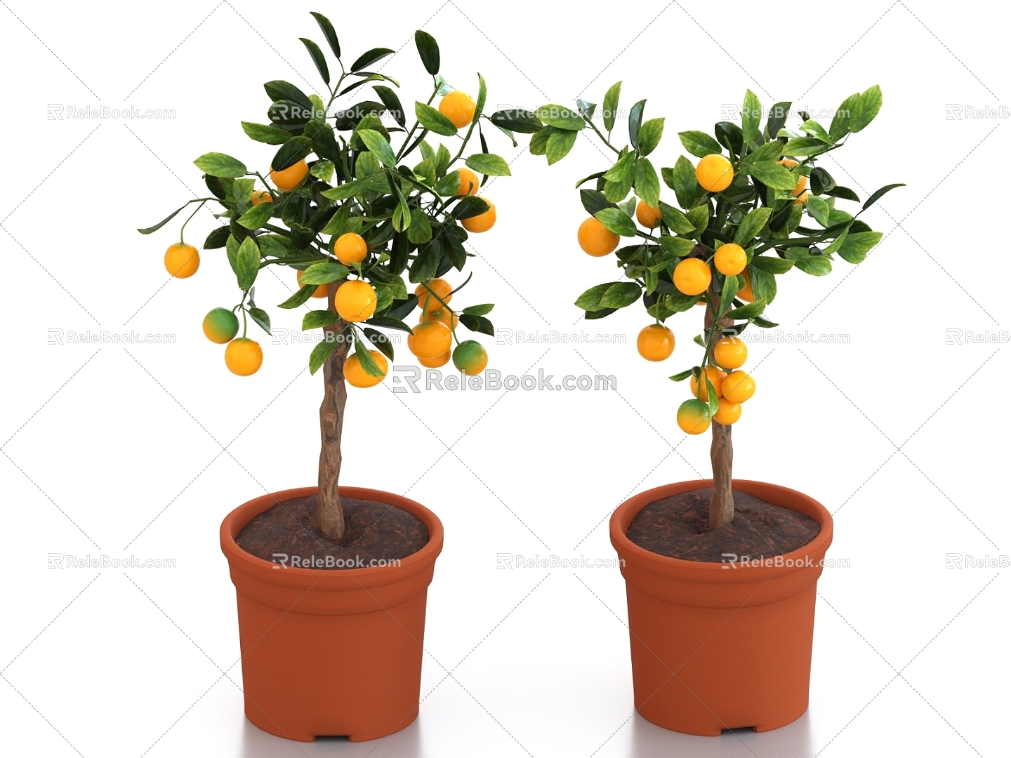 potted bonsai kumquat fruit tree potted fruit tree orange tree model