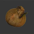 Fresh Brown Onion With Green Leaf And Textured Surface On Dark Background