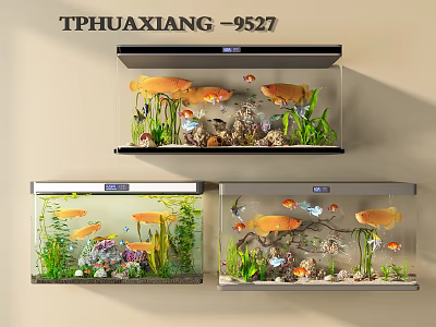 Colorful Aquatic Animals in Wall Mounted Fish Tanks with Aquatic Plants and Decorations 3d model