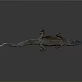 Realistic Crocodile 3D Model Lying On Grey Background With Reflection 3d model