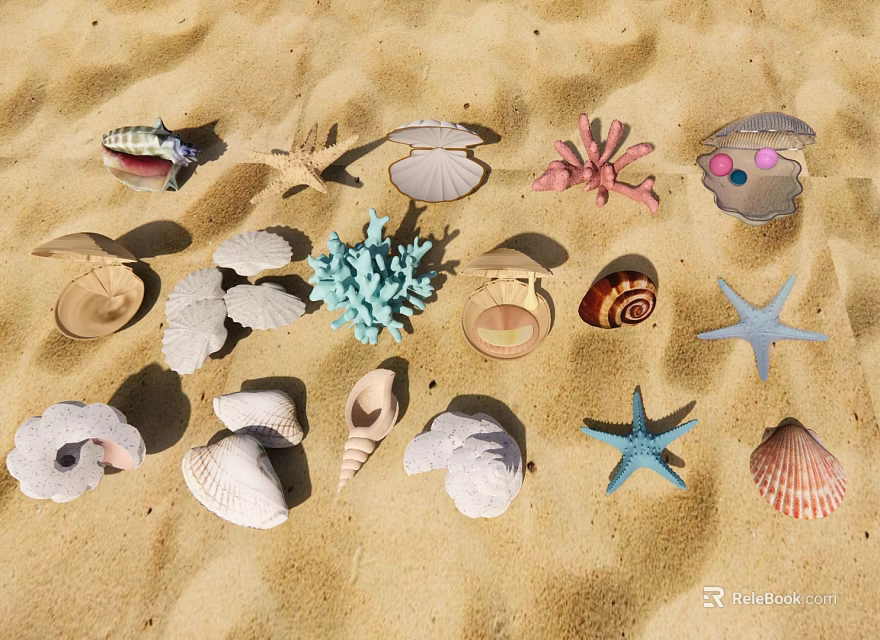 Beach Themed Decorative Ornament Set With Shells Starfish Coral And Sand 3d model 