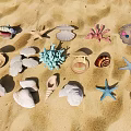 Beach Themed Decorative Ornament Set With Shells Starfish Coral And Sand