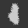 Natural Beige Dried Pampas Grass Arrangement In Clear Glass Vase For Home Decor