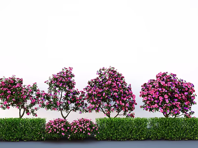 Beautiful Row of Pink Flowering Trees With Lush Green Shrubs in Garden Landscape 3d model