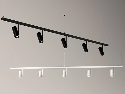 Modern Track Mounted Downlights And Spotlights In Black And White For Home Ceiling Lighting 3d model