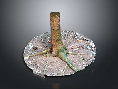 Wooden Tree Stump With Exposed Roots Surrounded By Stone Gravel And Soil 3d model