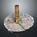 Wooden Tree Stump With Exposed Roots Surrounded By Stone Gravel And Soil