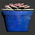 Decorative Succulent Plant in Blue Pot with Pink and Green Petals