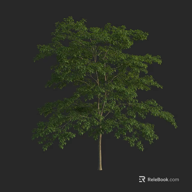 Lush Green Arbor Featuring Dense Foliage And Straight Trunk In Natural Form 3d model 