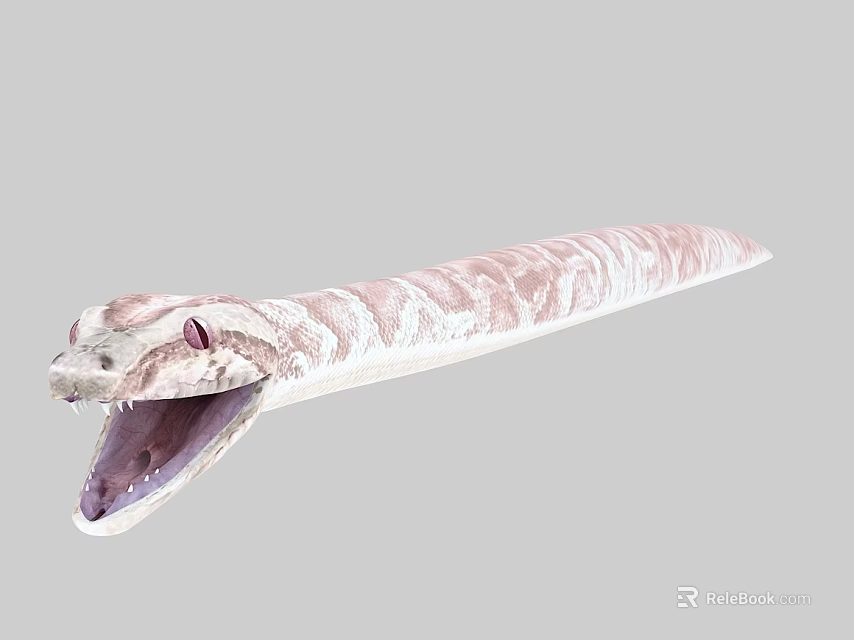 Realistic Reptile Snake With Open Mouth And Pink White Patterns Isolated 3d model 
