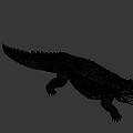 Game Movie Character Crocodile 3D Model With Open Mouth And Crawling Pose On Gray Background
