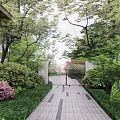 Garden Landscape With Paved Pathway Green Shrubs Pink Flowers Lawn And Iron Gate