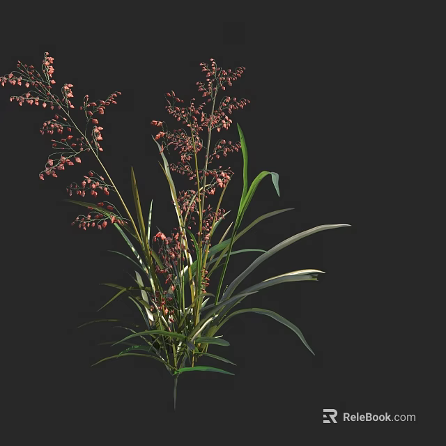 Beautiful Plant With Pink Flowers And Long Green Leaves On Black Background 3d model 
