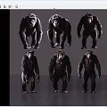 Multiple Reptile Specimens Displaying Various Standing Poses On Gray Reflective Ground