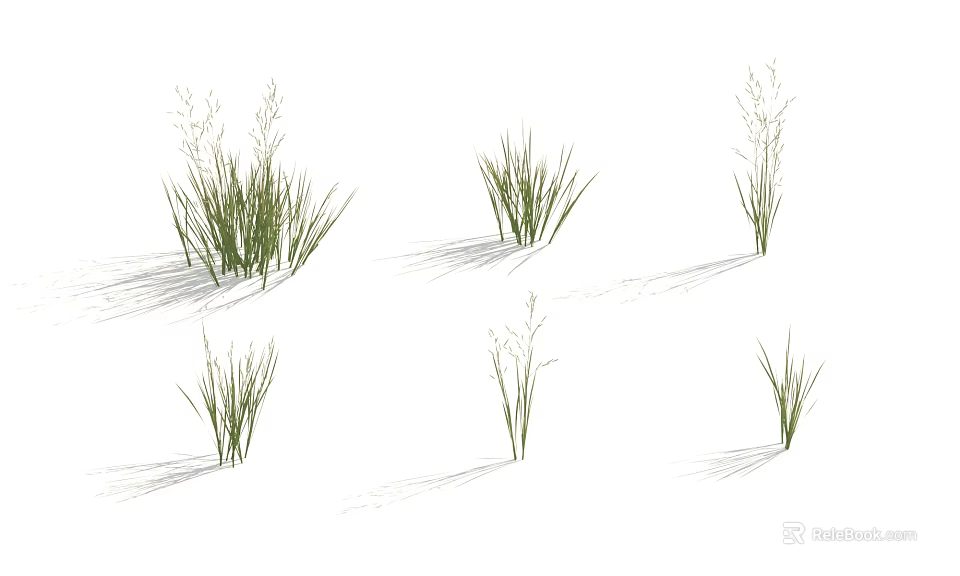 Different Green Grass Plants with Various Growth Forms on White Background and Natural Shadows 3d model 