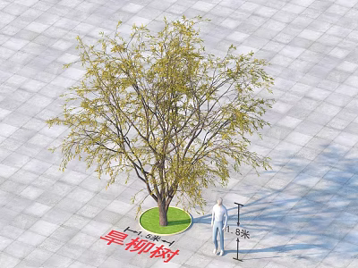 Garden Landscape Featuring Willow Tree On Circular Lawn With Square Pavement And Human Figure 3d model