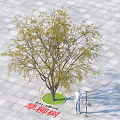 Garden Landscape Featuring Willow Tree On Circular Lawn With Square Pavement And Human Figure 3d model