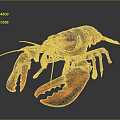 Vibrant Red Lobster With Glossy Shell And Open Claws On Black Surface