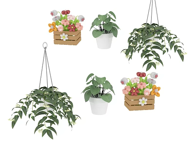 Bonsai and Potted Plants with Hanging Green Foliage Wooden Box Planters and White Pots 3d model