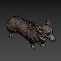 Realistic Brown And White Corgi 3D Model In Standing Pose With Detailed Features