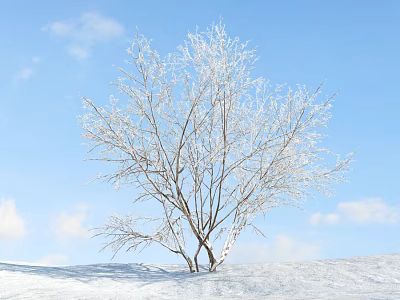 Snow Covered Shrub in Winter Scene with Blue Sky White Clouds and Snowy Ground 3d model