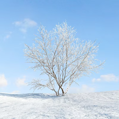 Snow Covered Shrub in Winter Scene with Blue Sky White Clouds and Snowy Ground 3d model Snow Covered Shrub in Winter Scene with Blue Sky White Clouds and Snowy Ground 3d model