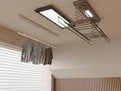 Modern Indoor Ceiling Mounted Clothes Hanger With Lighting And Hanging Clothes 3d model