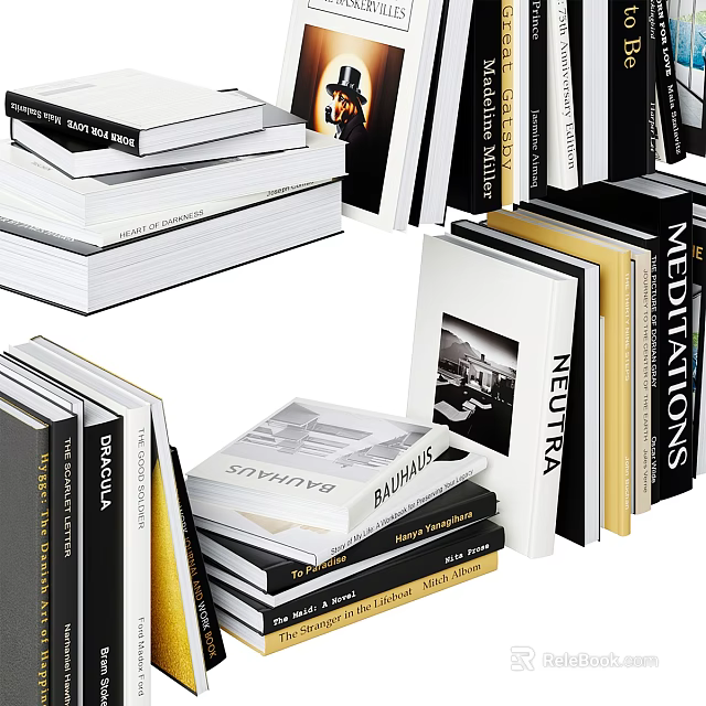 Stacked and Standing Books With Various Colored Covers Including BALDWIN MEDITATIONS NEUTRA 3d model 
