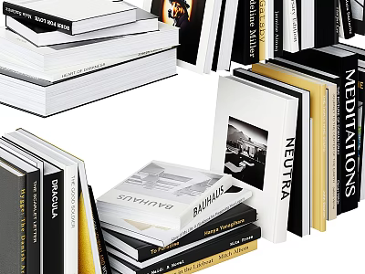 Stacked and Standing Books With Various Colored Covers Including BALDWIN MEDITATIONS NEUTRA 3d model