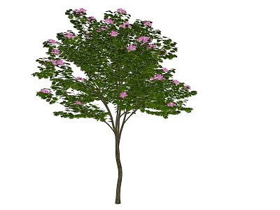 Beautiful Arbor With Green Leaves And Pink Flowers In Full Bloom 3d model