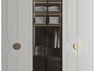 Modern Wardrobe Interior Design With Glass Doors Storage Boxes And Hanging Area 3d model