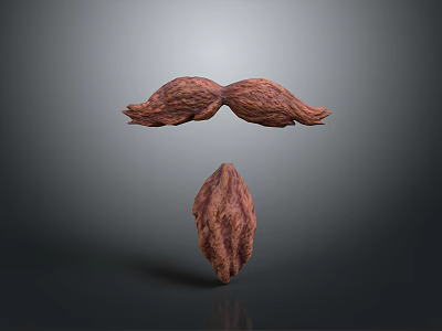 Brown Textured Organ and Hair Like Structures with Symmetrical Design on Gray Background 3d model
