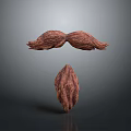 Brown Textured Organ and Hair Like Structures with Symmetrical Design on Gray Background