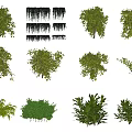 Modern shrubs 3d model
