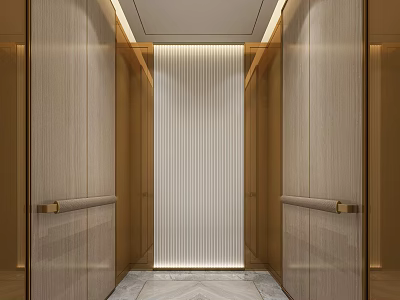 Modern Luxury Elevator Interior With Wooden Walls Marble Floor And LED Strip 3d model