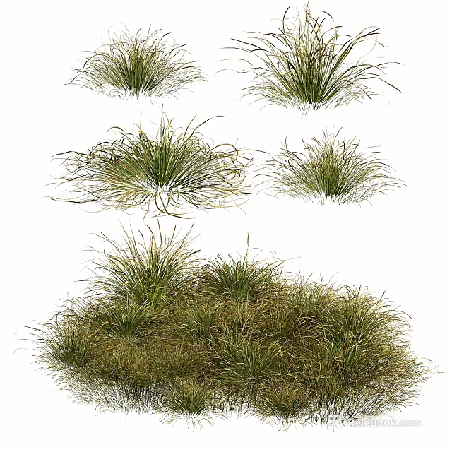 Natural Style Ornamental Decorative Set with Grass Like Plants and Various Sizes for Home Decor 3d model 