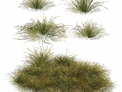 Natural Style Ornamental Decorative Set with Grass Like Plants and Various Sizes for Home Decor 3d model