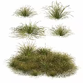 Natural Style Ornamental Decorative Set with Grass Like Plants and Various Sizes for Home Decor