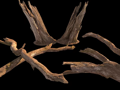 Natural Stone and Wood Pieces Showcasing Raw Textures and Organic Shapes 3d model