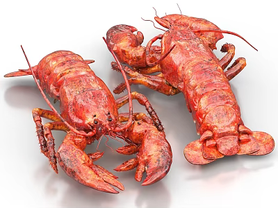 Two Red Cooked Lobsters With Succulent Meat And Fresh Seafood Appeal 3d model