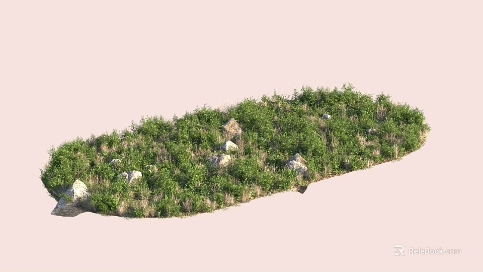 Lush Green Plants And Flowers Growing In Natural Area With Scattered Rocks 3d model 
