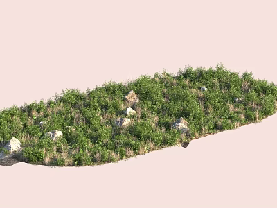 Lush Green Plants And Flowers Growing In Natural Area With Scattered Rocks 3d model