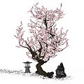 Beautiful Pink Blossom Tree in Garden Landscape With Stone Lantern Rocks and Pebbles