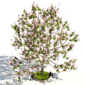 Arbor Featuring Purple Flowers And Green Leaves With People Standing And Sitting Under It
