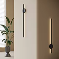 Modern Minimalist Black Long Strip Wall Sconce Design With Beige Wall And Green Plant