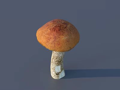 Cartoon Mushroom Character With Brown Cap And White Spotted Stem On Gray Background 3d model