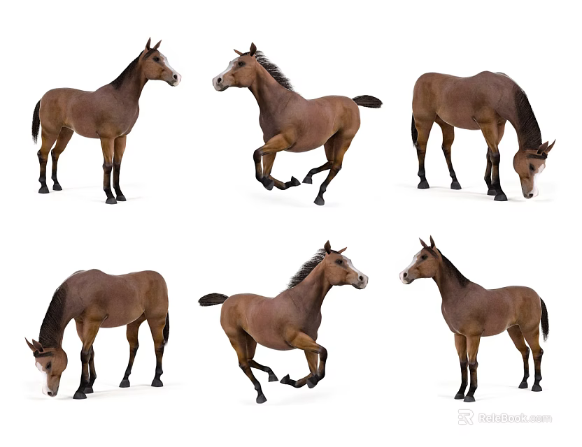 Brown Horses Displaying Various Poses From Standing To Running On White Background 3d model 