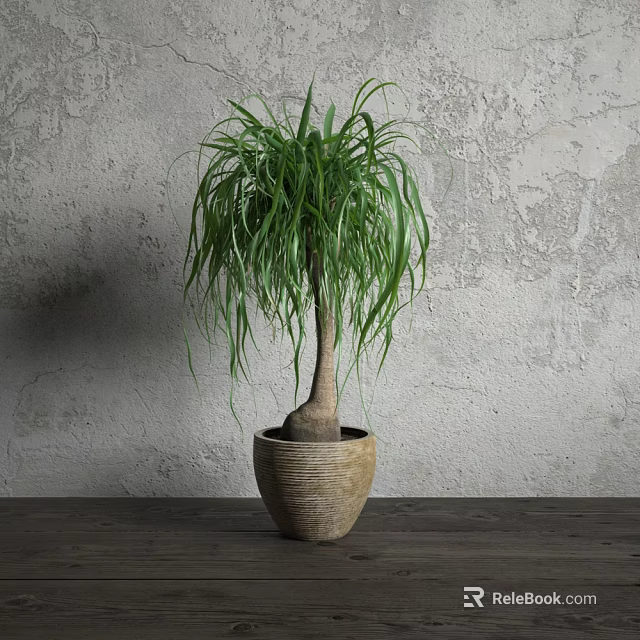Bonsai Potted Plant With Long Drooping Green Leaves In Textured Terracotta Pot On Wooden Table 3d model 