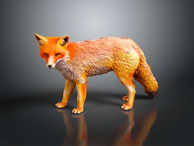 Red Fox Standing with Fluffy Fur on Dark Background Showing Reflection 3d model